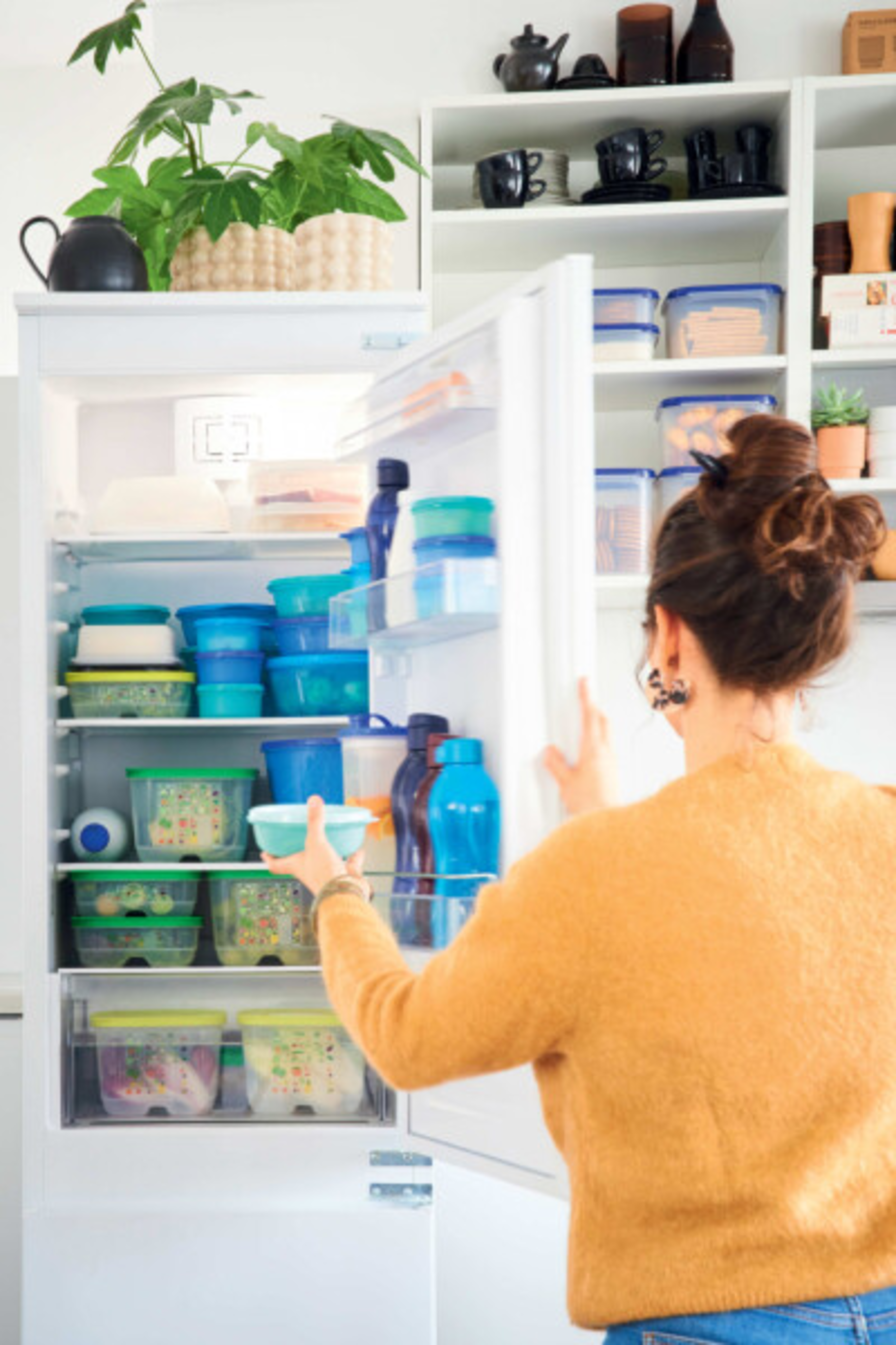 Tupperware Système de réfrigérateur 1,5 l - Boîte rectangulaire avec  couvercle - Couleur menthe transparente : : Cuisine et Maison